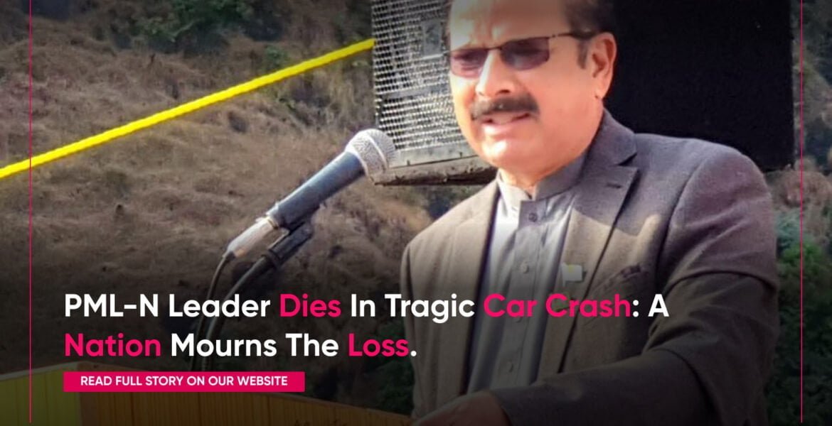 Portrait of mahmood-ul-hasan raja, a prominent pml-n leader