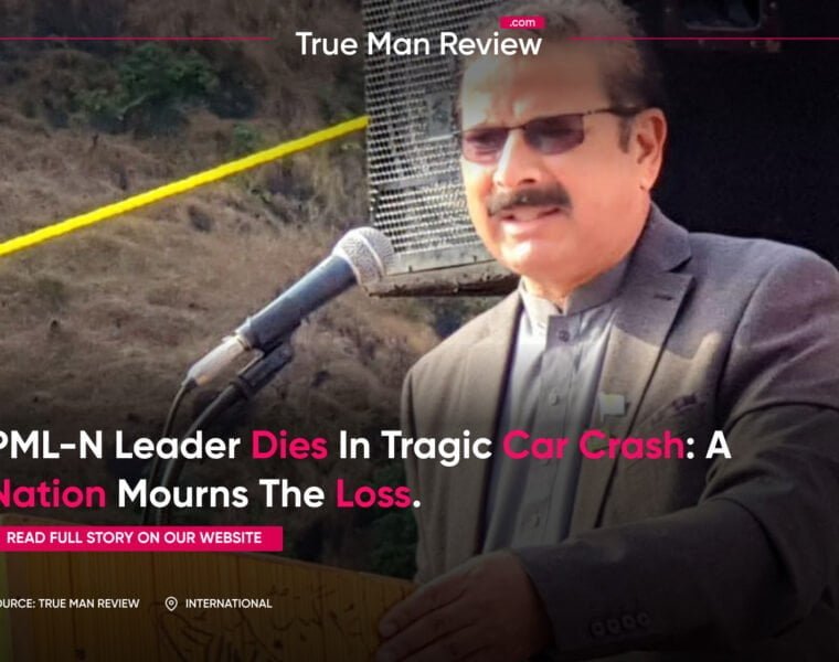 Portrait of mahmood-ul-hasan raja, a prominent pml-n leader